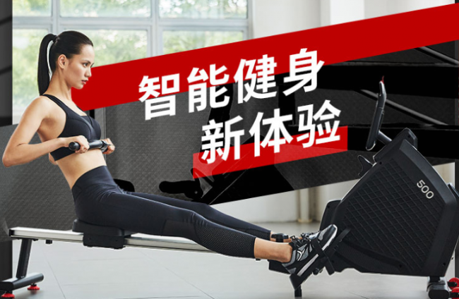 迪卡儂劃船機