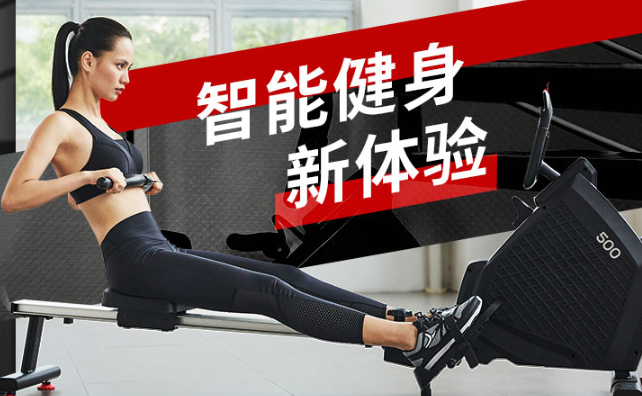 迪卡儂劃船機