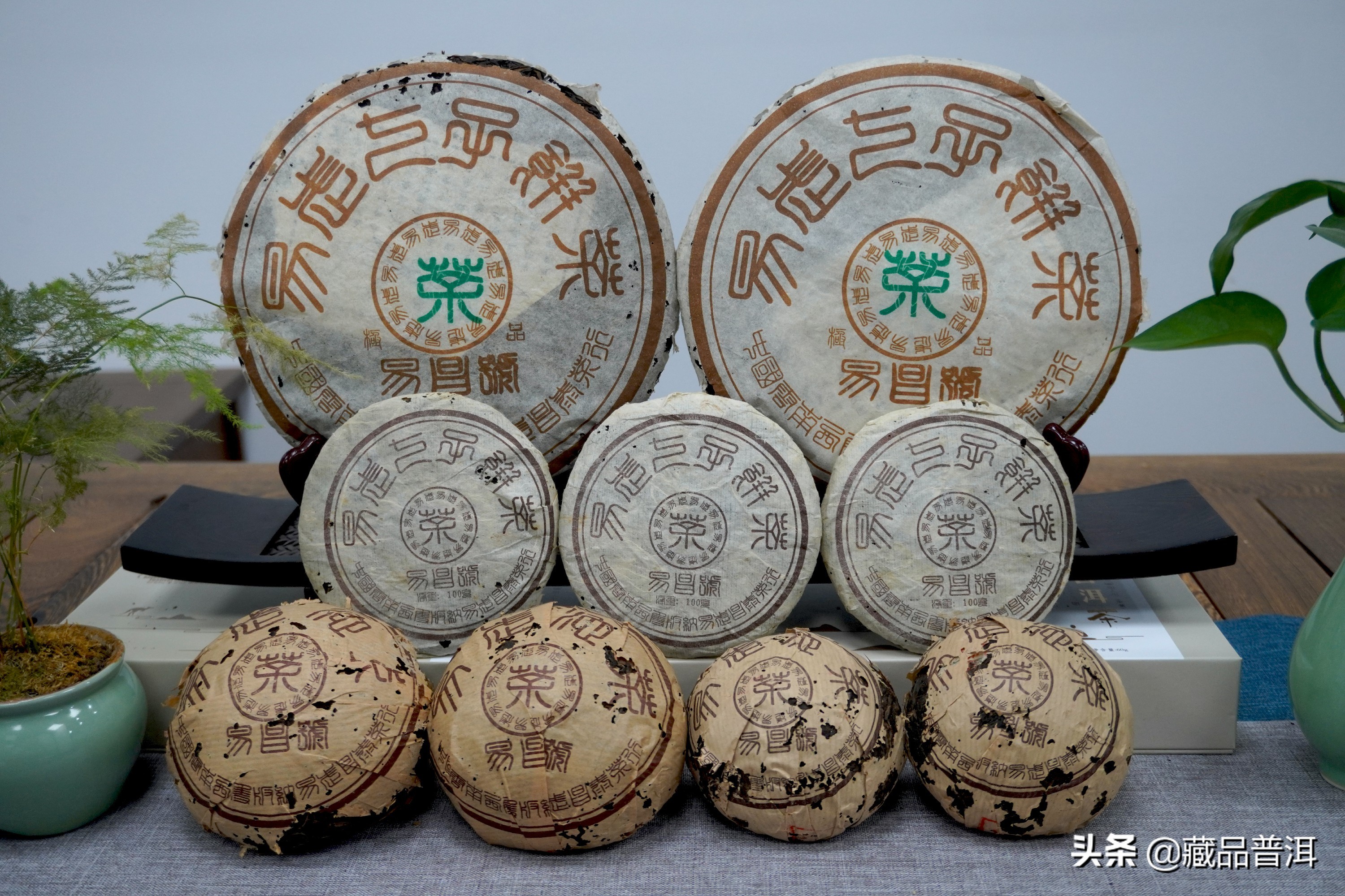 2021普洱茶品牌十大排行榜（普洱茶哪個牌子好又正宗）3