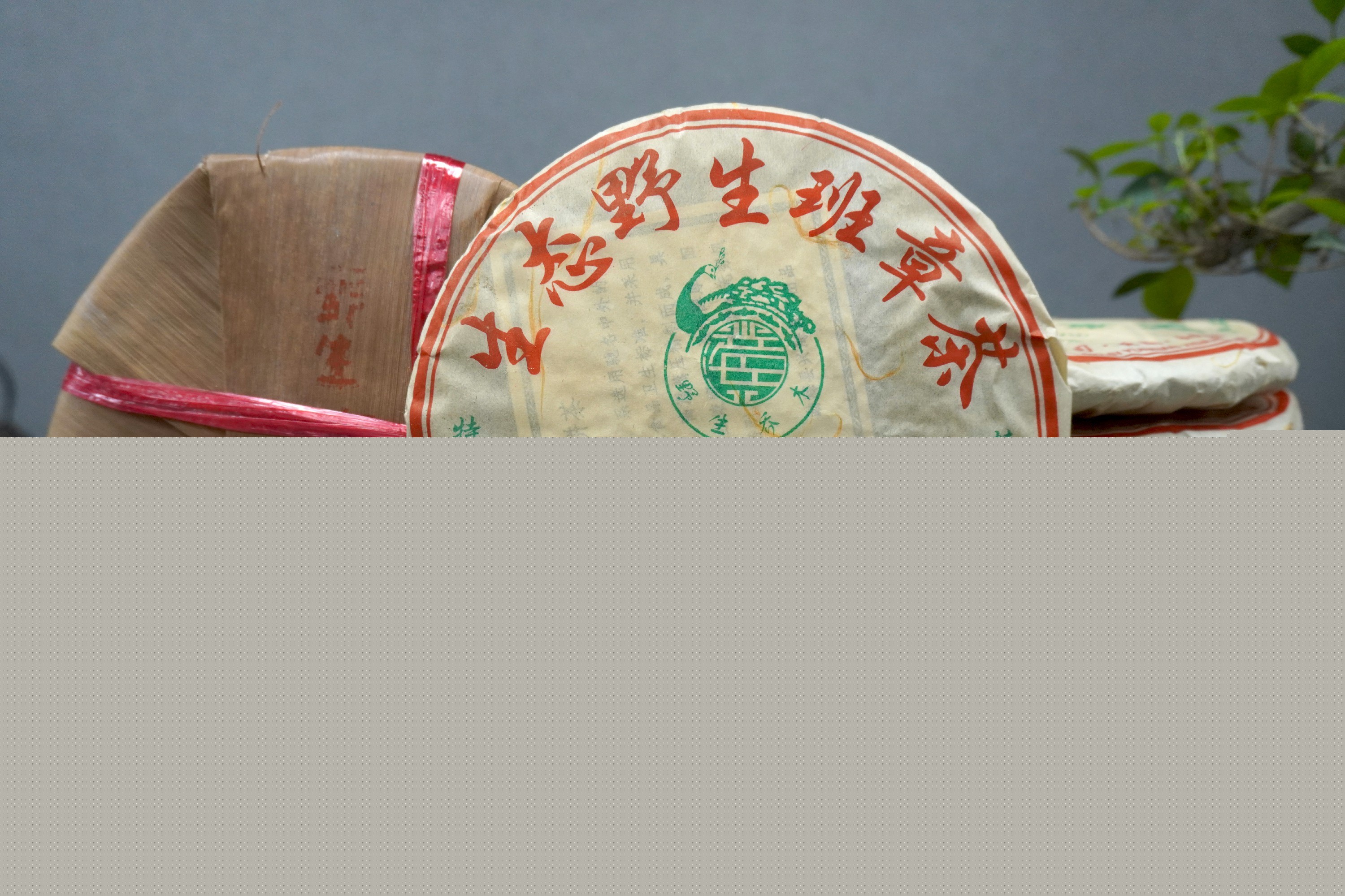 2021普洱茶品牌十大排行榜（普洱茶哪個牌子好又正宗）2