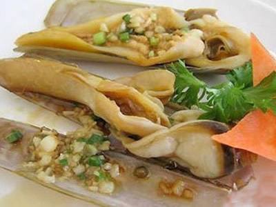 八寶書包魚