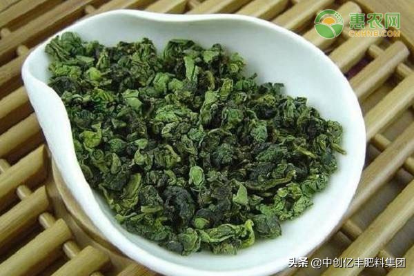 名茶碧螺春的產(chǎn)地是哪里（名茶碧螺春產(chǎn)地在哪個(gè)省）