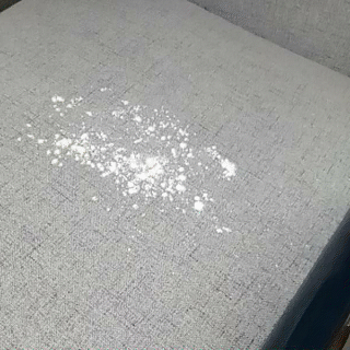三款除螨儀測評，哪一款更值得購買？
