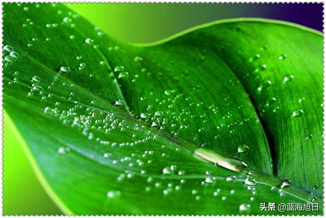 投資10萬元創(chuàng)業(yè)，他選擇了這幾類生意，每天有200多元的收益