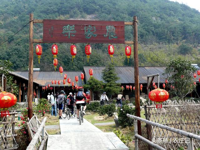 2019年，適合農(nóng)村致富的6個小項(xiàng)目，不僅成本小，且回報高