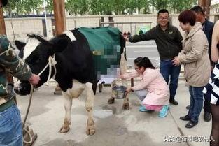 8個農(nóng)村創(chuàng)業(yè)致富項目，做得好賺的真不少