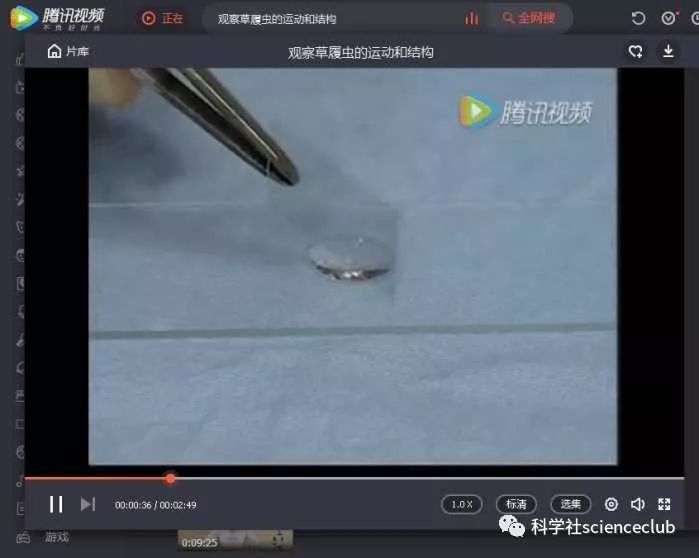 如何將騰訊視頻QLV格式轉(zhuǎn)換成MP4等其他視頻格式？附詳圖