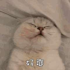 網(wǎng)盤播放、投屏，4k流暢播放，我要吹爆這兩個(gè)手機(jī)播放器