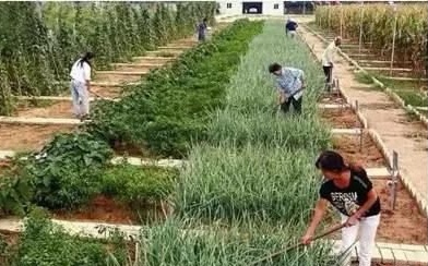 2020年必火的16個(gè)線下創(chuàng)業(yè)項(xiàng)目 最冷門最賺錢的生意點(diǎn)子