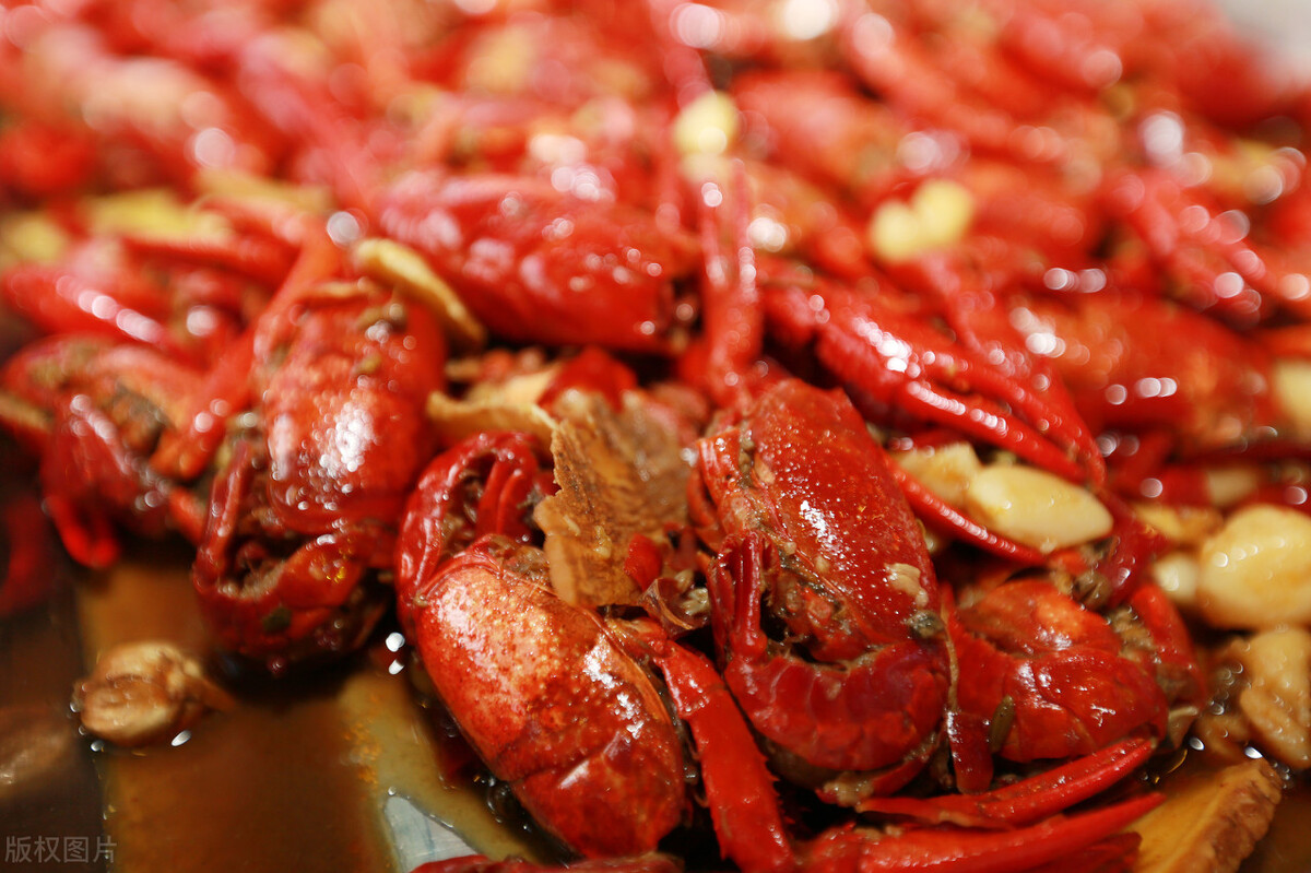 魚(yú)價(jià)又飄了！小龍蝦漲一倍，甲魚(yú)畝賺50萬(wàn)，魚(yú)農(nóng)理性養(yǎng)殖