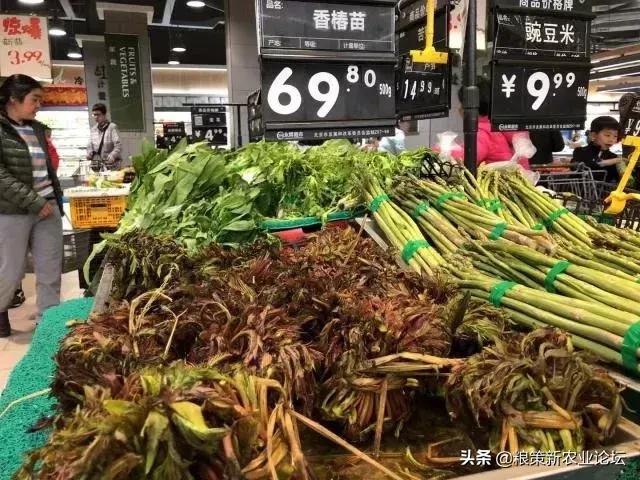 盤點4個適合農(nóng)村創(chuàng)業(yè)的好項目，2020年回村干這些