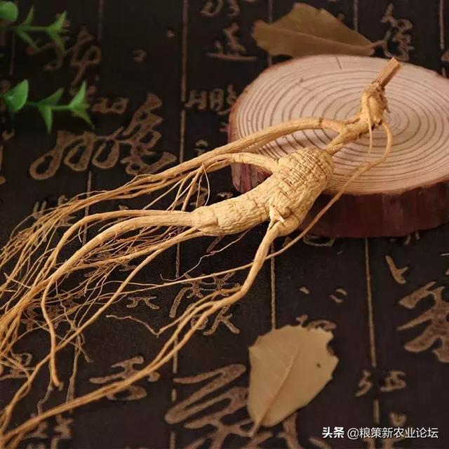 盤點4個適合農(nóng)村創(chuàng)業(yè)的好項目，2020年回村干這些