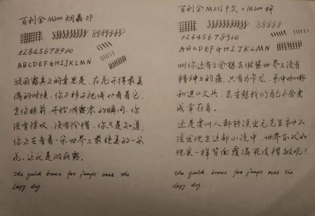 我的鳥(niǎo)筆初嘗試——幾支基本款現(xiàn)產(chǎn)百利金鋼筆對(duì)比評(píng)測(cè)