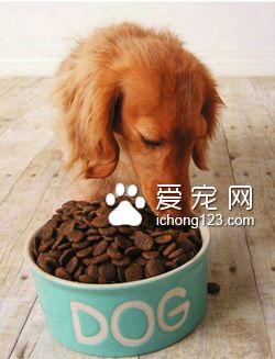 寶路狗糧多少錢一包 需要看產(chǎn)品的規(guī)格的