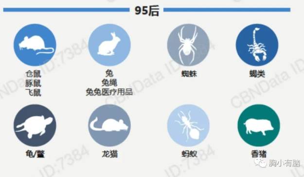 B站《后浪》刷屏營(yíng)銷策略