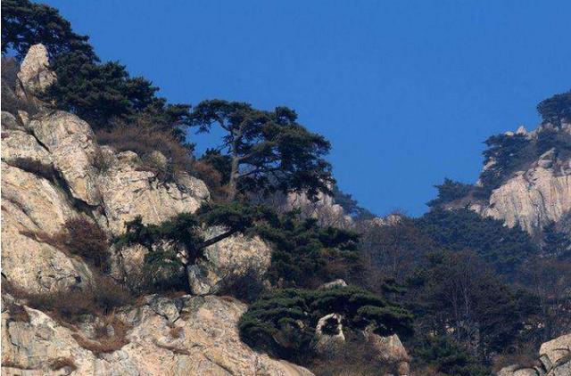 文化之五岳：東岳泰山，西岳華山，中岳嵩山，北岳恒山，南岳衡山