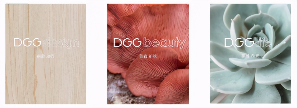 DGG為何受到年輕人追捧？探尋DGG品牌理念的力量