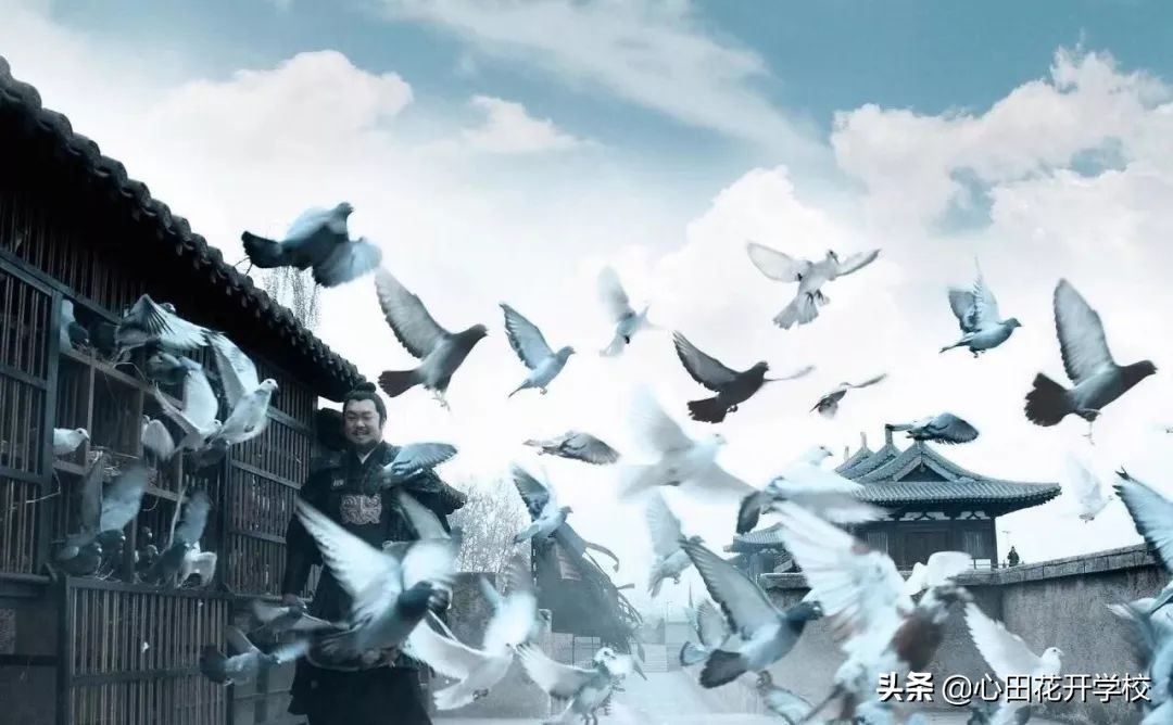漲知識了，“放鴿子”原來是這么來的