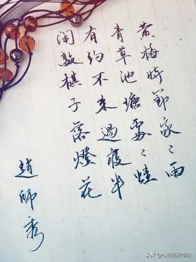 漲知識了，“放鴿子”原來是這么來的