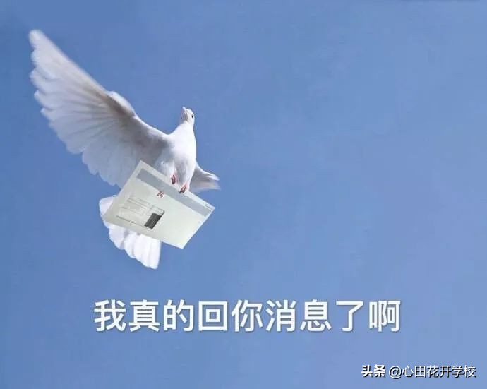 漲知識了，“放鴿子”原來是這么來的