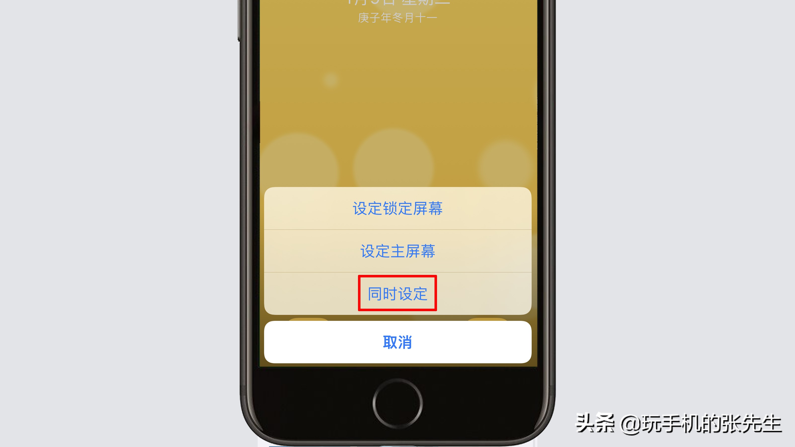 蘋(píng)果11怎么設(shè)置動(dòng)態(tài)壁紙？這個(gè)簡(jiǎn)單！只需這樣操作