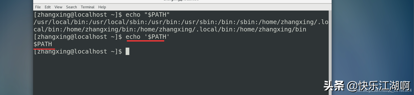 《Linux命令行大全》:1-7-透過shell看世界