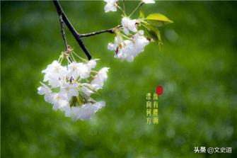 最美的“年齡稱謂”：花信之年、豆蔻之年、桃李之年，各指多少歲