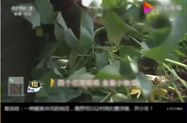 《財富經(jīng)》創(chuàng)業(yè)成功者的秘密，獻給準備創(chuàng)業(yè)的你！