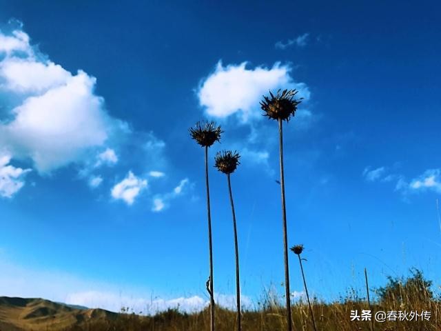 藏歷新年人們都會說“扎西德勒”，這句話是什么意思？