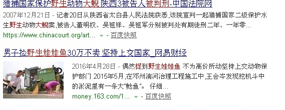 農(nóng)村常見的10種野生動物，抓上一只讓你牢底坐穿