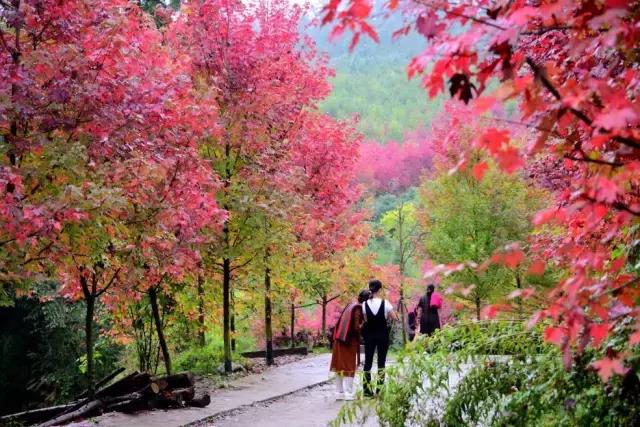 成都周邊7個(gè)不能錯(cuò)過的旅行地，趁沒火之前趕緊去！