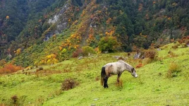 成都周邊7個(gè)不能錯(cuò)過的旅行地，趁沒火之前趕緊去！