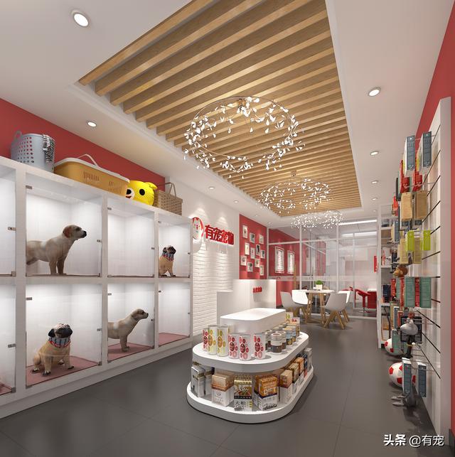 現(xiàn)在開寵物店賺錢嗎？