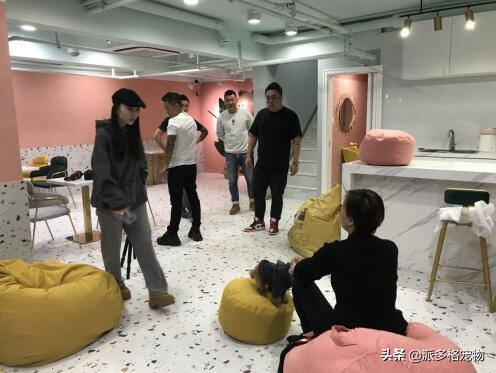 寵物店加盟哪個品牌好？優(yōu)選派多格寵物