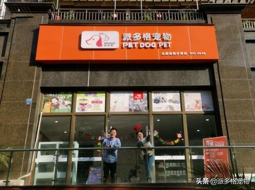 寵物店加盟哪個品牌好？優(yōu)選派多格寵物