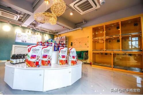 寵物店加盟哪個品牌好？優(yōu)選派多格寵物