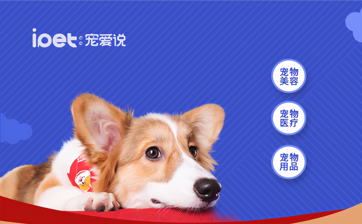 開寵物店費用高嗎-「寵愛說」為您做成本分析