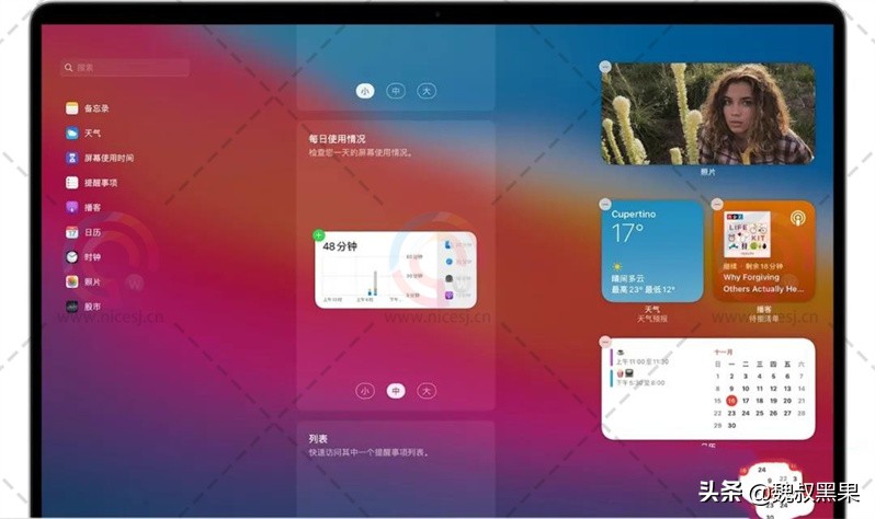 macOS Big Sur 11.5.1 (20G80) 虛擬機 ISO 鏡像