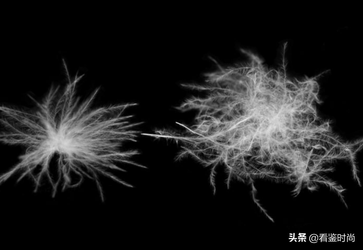 為什么Moncler羽絨服很貴卻極受歡迎？這些是本季的熱門款
