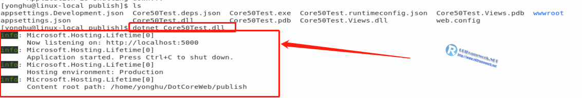 NET Core部署到linux最全解決方案，常規(guī)篇