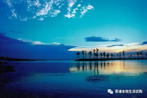 五五購(gòu)物節(jié)|39.9元限時(shí)搶購(gòu)東方綠洲門票——五一放風(fēng)游玩必選的戶外景區(qū)