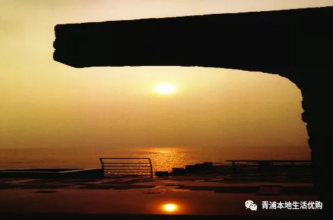 五五購(gòu)物節(jié)|39.9元限時(shí)搶購(gòu)東方綠洲門票——五一放風(fēng)游玩必選的戶外景區(qū)