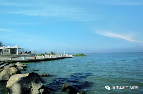 五五購(gòu)物節(jié)|39.9元限時(shí)搶購(gòu)東方綠洲門票——五一放風(fēng)游玩必選的戶外景區(qū)