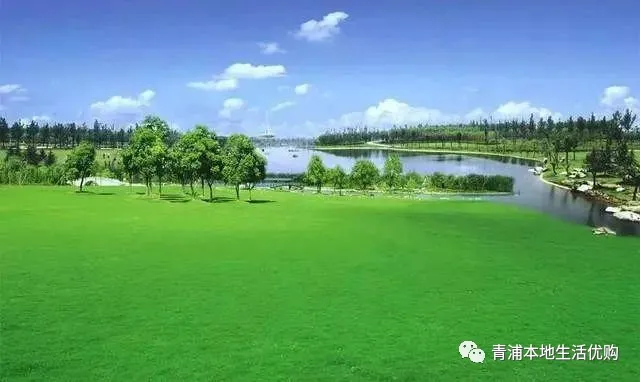 五五購(gòu)物節(jié)|39.9元限時(shí)搶購(gòu)東方綠洲門票——五一放風(fēng)游玩必選的戶外景區(qū)