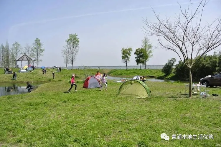 五五購(gòu)物節(jié)|39.9元限時(shí)搶購(gòu)東方綠洲門票——五一放風(fēng)游玩必選的戶外景區(qū)