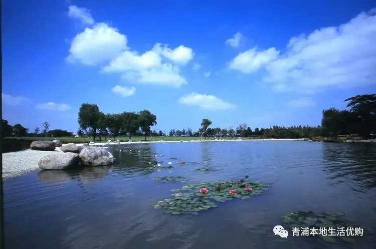 五五購(gòu)物節(jié)|39.9元限時(shí)搶購(gòu)東方綠洲門票——五一放風(fēng)游玩必選的戶外景區(qū)