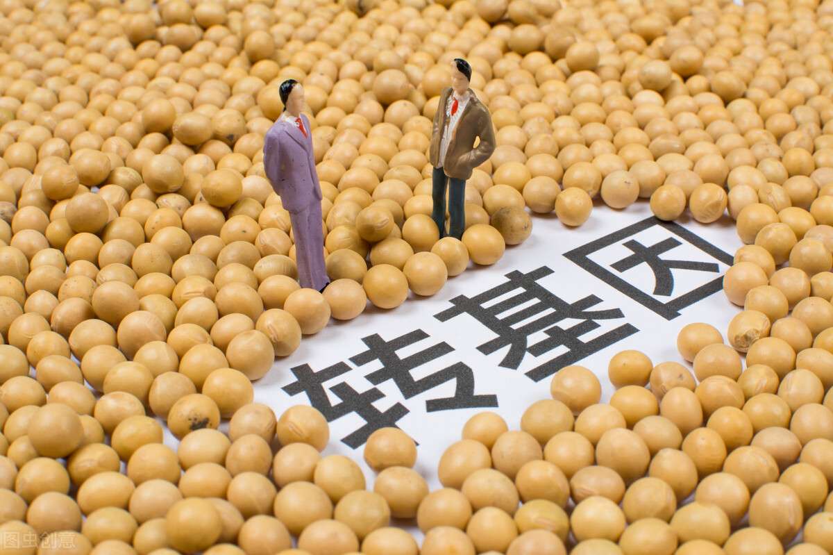 轉(zhuǎn)基因油到底能不能吃？吃了會(huì)對(duì)身體有影響嗎？一文說清楚