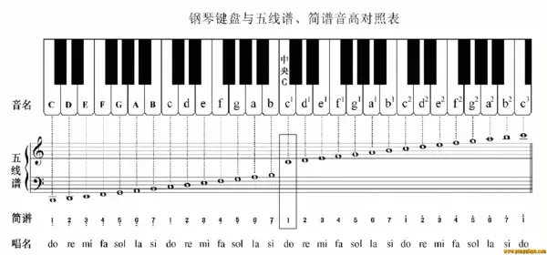 電子琴上哪個鍵是1234567？這里有你想知道的答案！