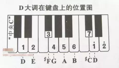 電子琴上哪個鍵是1234567？這里有你想知道的答案！