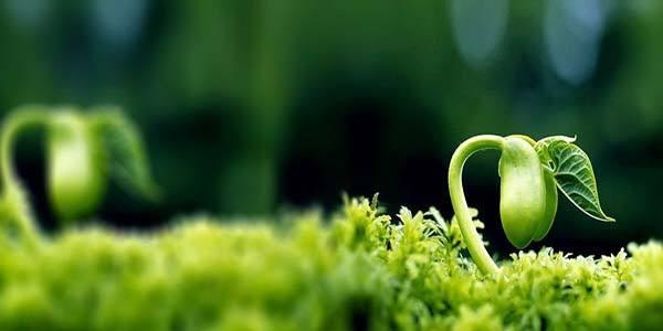 創(chuàng)業(yè)第一步：避開這幾個大坑，不怕不成功！